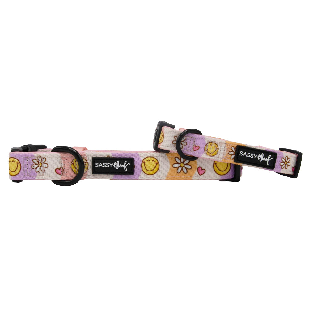 Dog Collar - Daisy Me Rolling