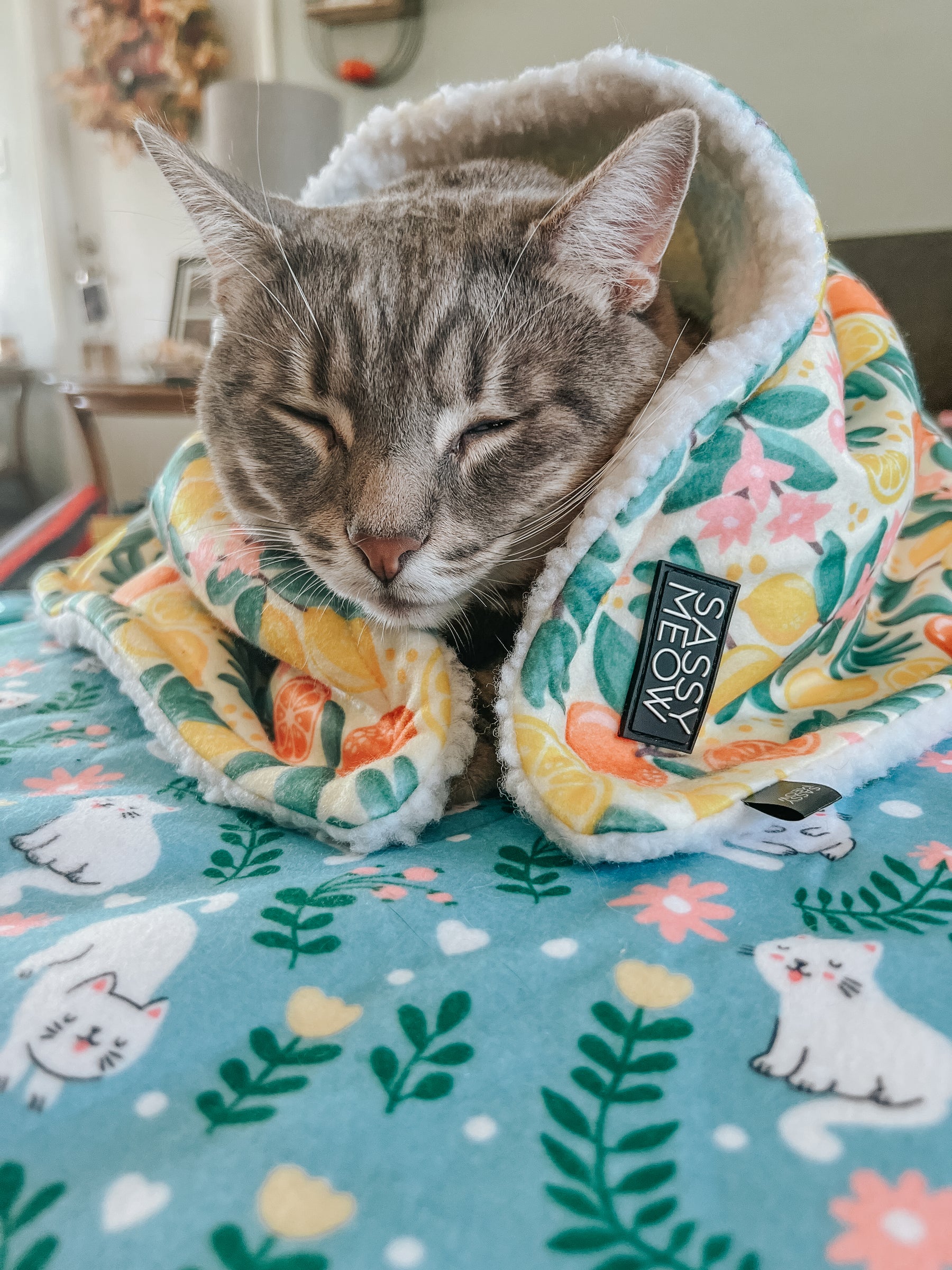 Pet Blanket - Zest Friends