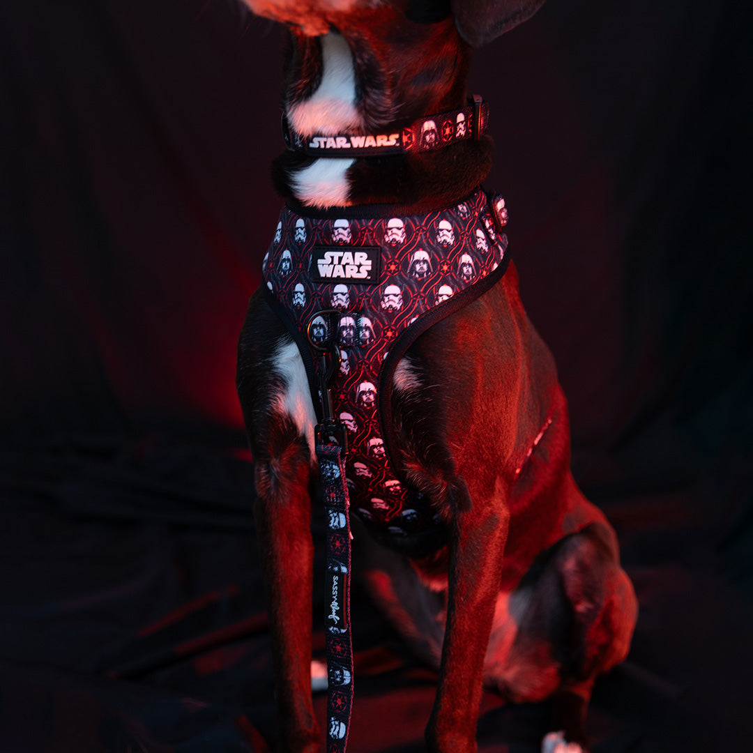 Dog Two Piece Bundle - STAR WARS™ The Dark Side