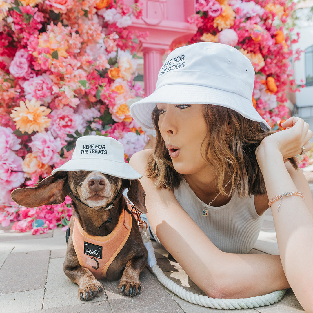 A woman and a small dog both wear white bucket hats; the dog’s hat says HERE FOR THE TREATS and the woman’s says HERE FOR THE DOGS. They pose near colorful flowers; the woman looks at the dog with a playful expression.