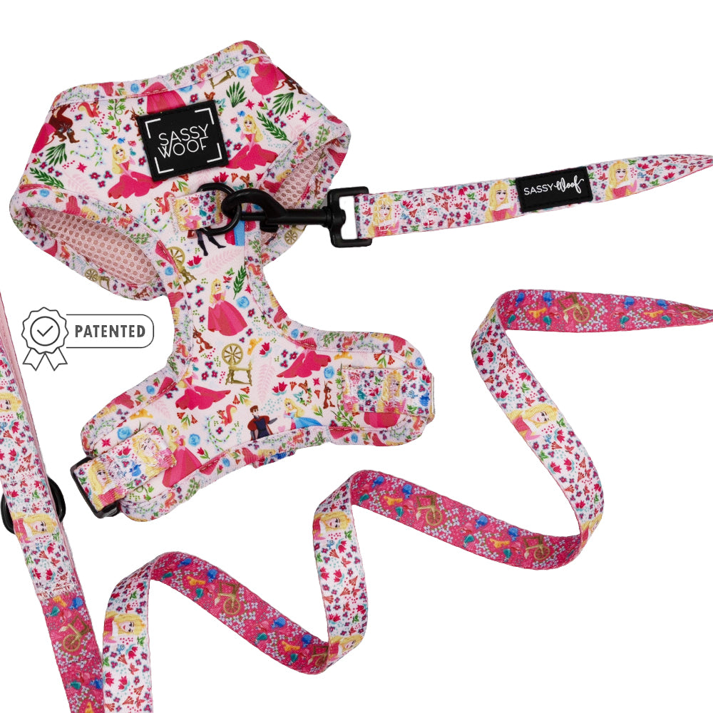 Dog Two Piece Bundle - Disney's Aurora
