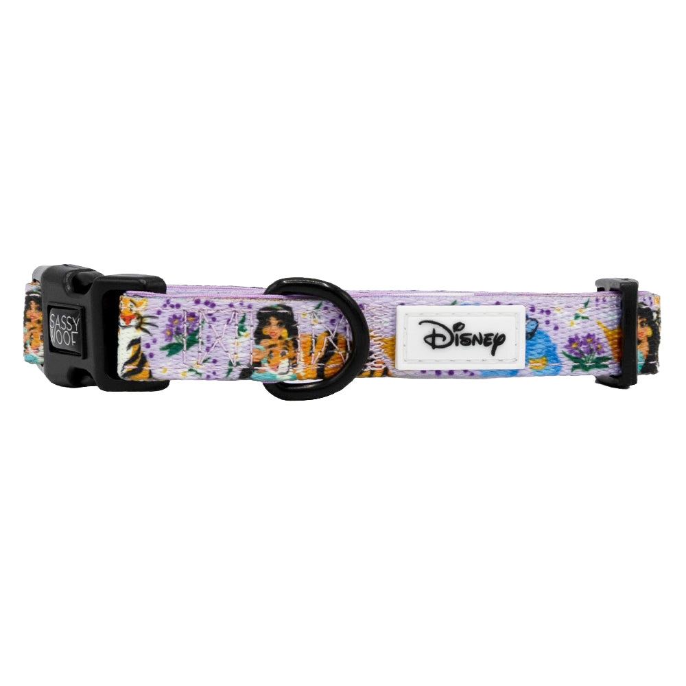 Dog Collar - Disney's Jasmine
