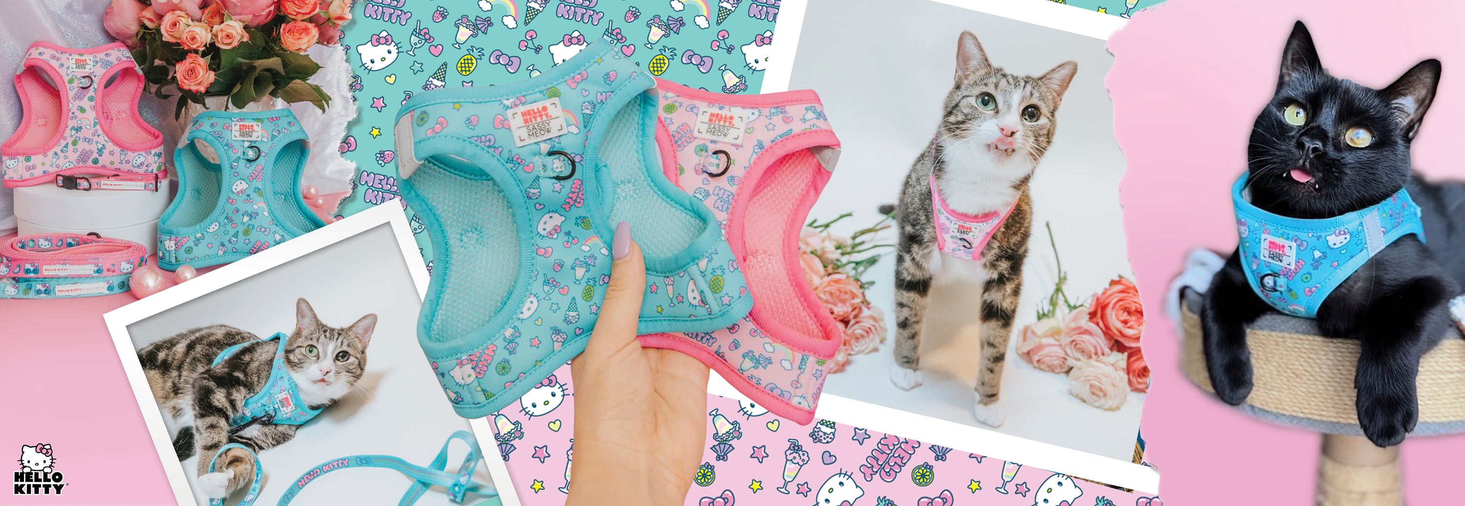 Collage featuring cats wearing blue and pink Hello Kitty harnesses, close-ups of harnesses, flowers, and cartoon Hello Kitty designs in the background. One cat stands on a platform, another sits among products.
