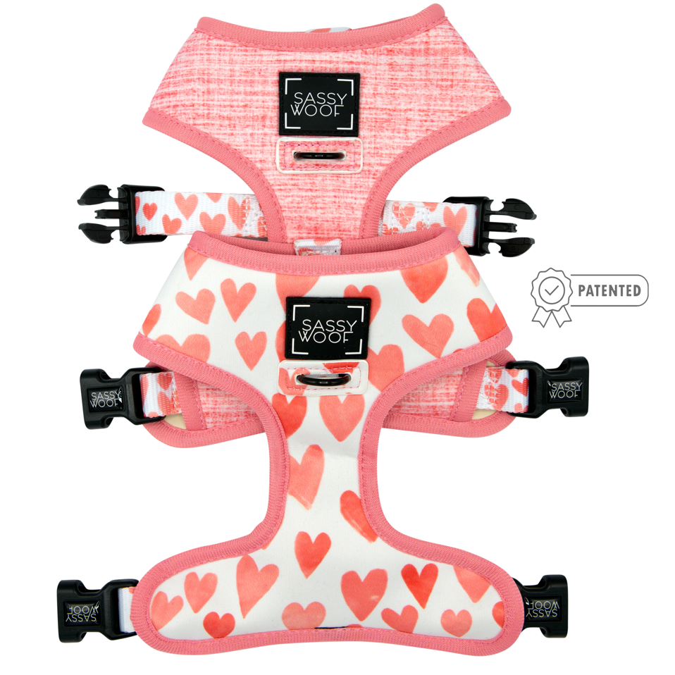 Dog reversible shop harness