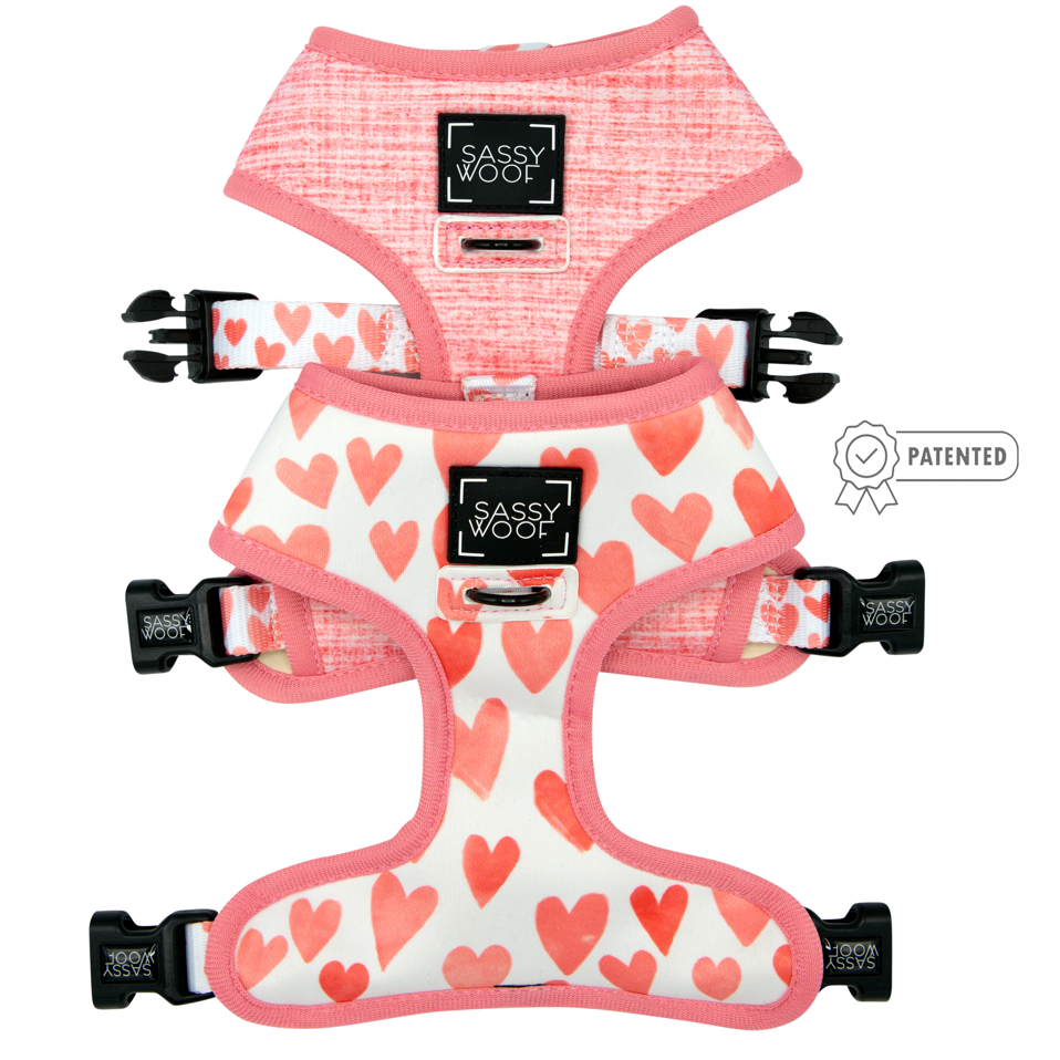 Dog Reversible Harness - Dolce Rose