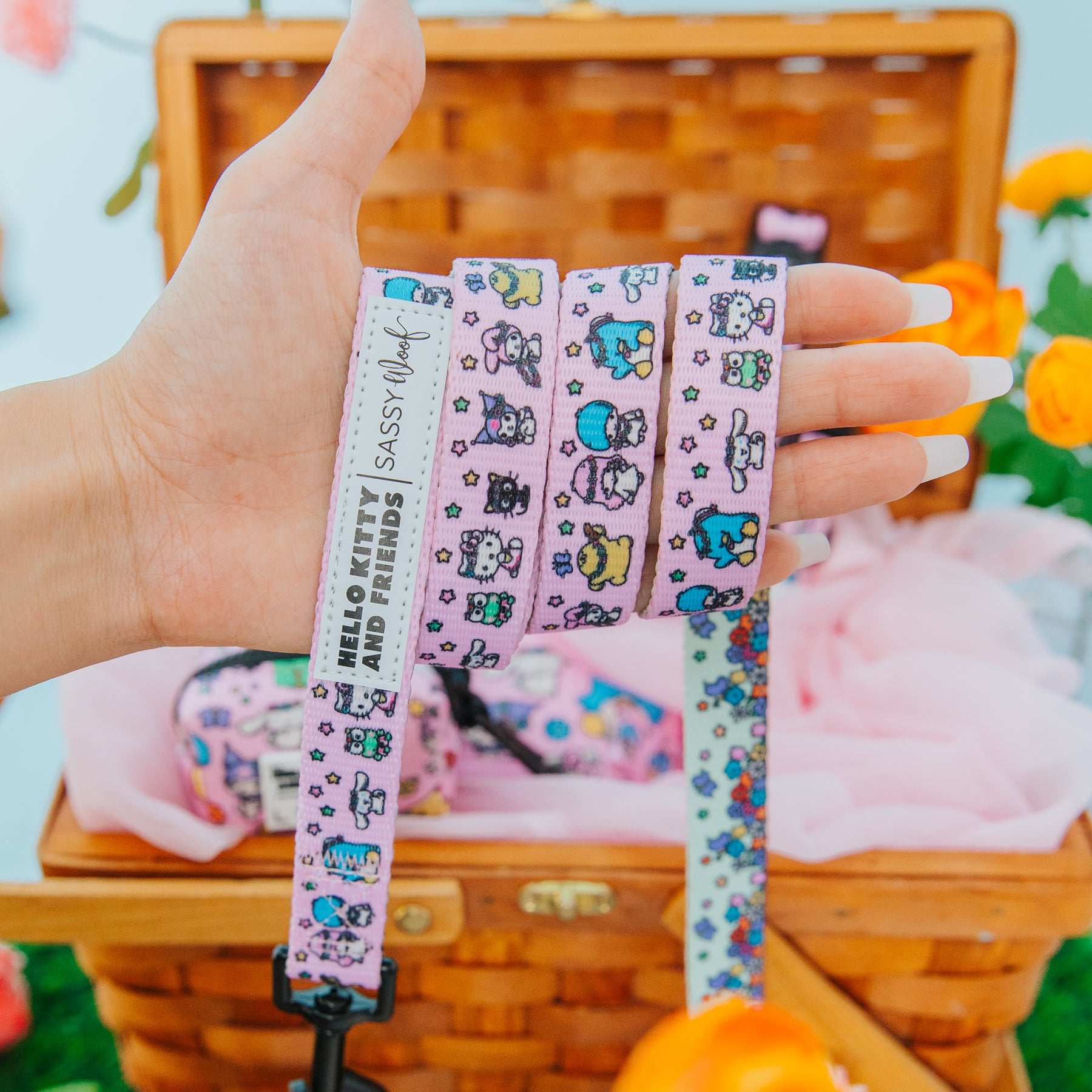 Dog Leash - Hello Kitty® & Friends Flower Festival