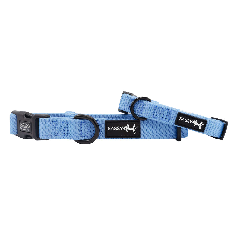 Two Sassy Woof "Hydrangea" dog collars in light blue neoprene, each with black plastic buckles, rings, and a white-on-black Sassy Woof label. The adjustable collars are displayed overlapping.