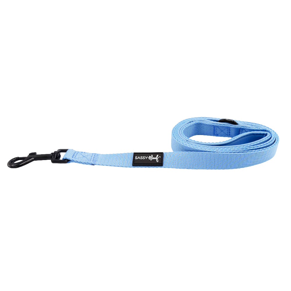 The Sassy Woof Dog Leash - Hydrangea features a light blue hydrangea design, black metal clip, and a black label with “SASSY WOOF” in white. The leash is neatly coiled on a white background.