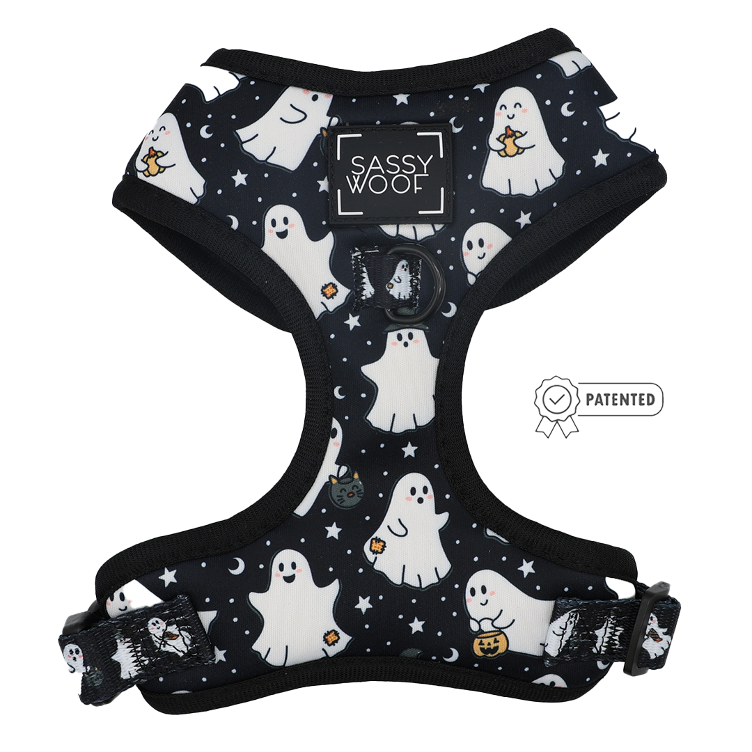 The Sassy Woof Dog Two Piece Bundle - Lil Boo Thing features a black adjustable dog harness with a festive pattern of white ghosts, stars, and small pumpkins. Part of the Lil Boo Thing Collection, this must-have Halloween dog accessory displays the Sassy Woof logo on the front and a Patented symbol to the right.