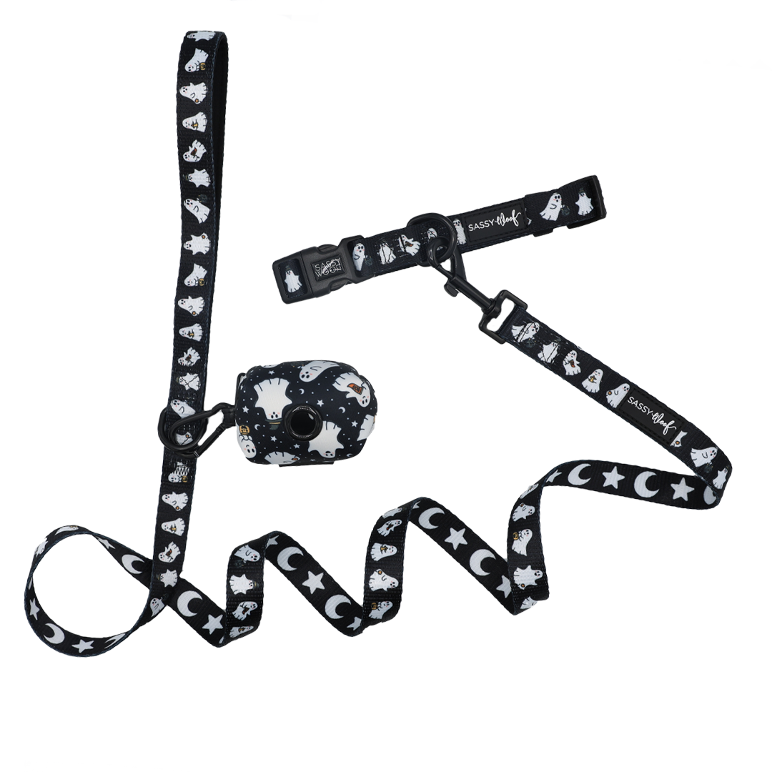 The Sassy Woof Dog Three Piece Bundle - Lil Boo Thing features a black dog collar, leash, and matching waste bag holder adorned with white cartoon ghosts, stars, and moons. This festive Halloween set from the Lil Boo Thing collection is beautifully displayed on a white background.