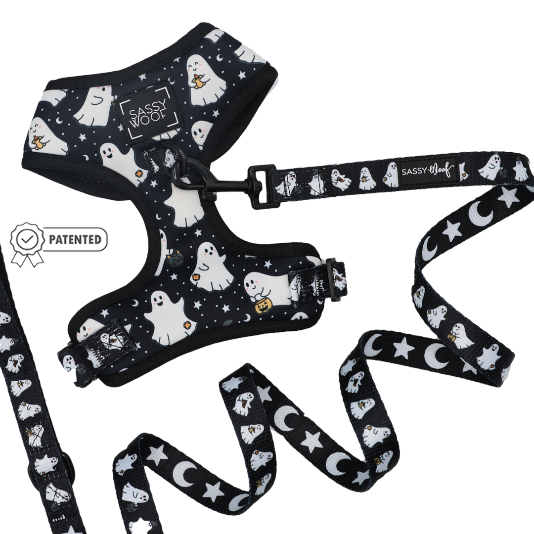 Add a touch of spooky style to your pup’s walks with the Dog Two Piece Bundle - Lil Boo Thing from Sassy Woof! This playful Halloween-themed set includes a black adjustable dog harness and matching leash adorned with white ghost, star, and moon patterns. Featuring Sassy Woof branding and a Patented badge icon, this harness and leash bundle is part of the Lil Boo Thing Dog Collection—perfect for fans of festive dog accessories!.