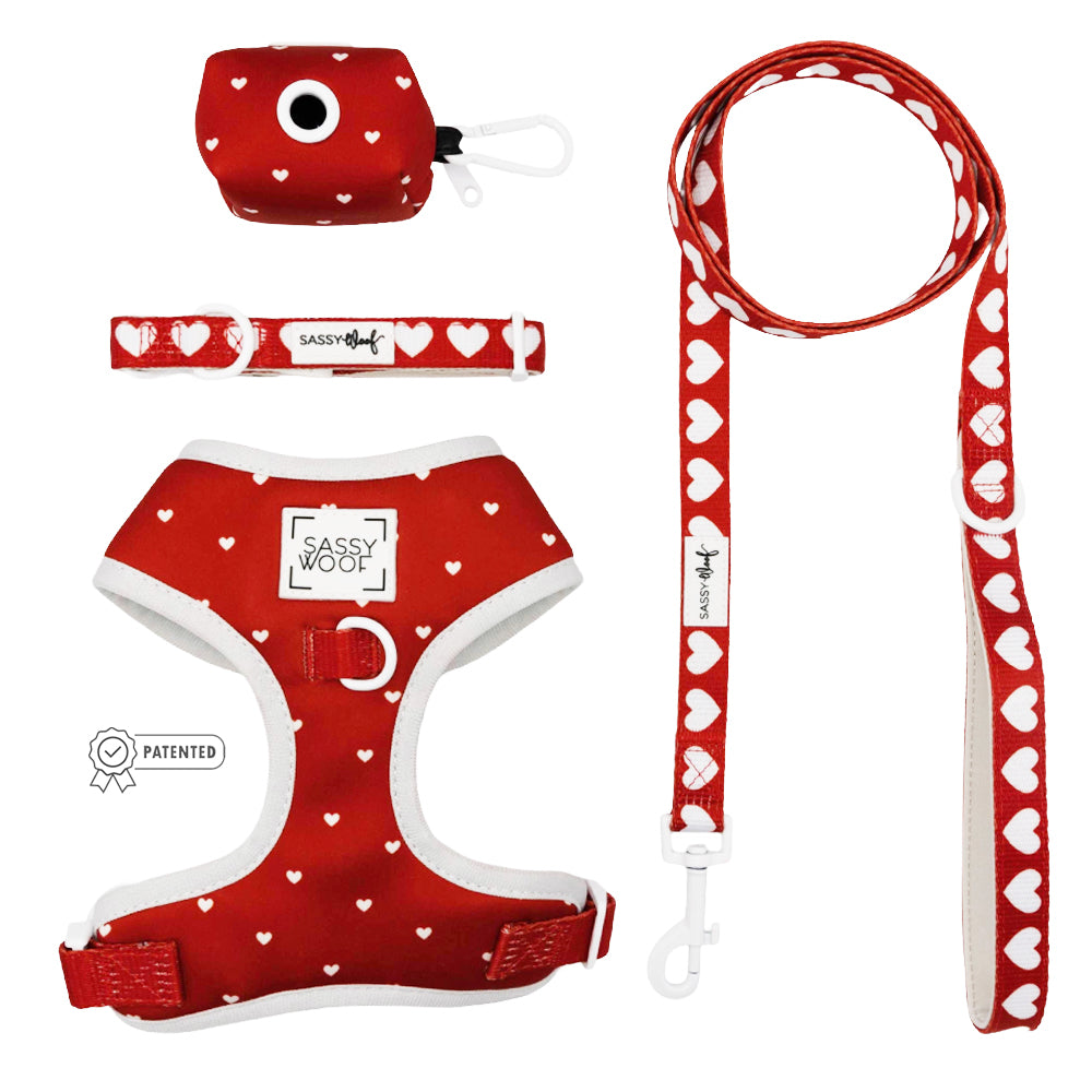 Red and white heart-patterned pet harness, leash, and collar set on a white background.