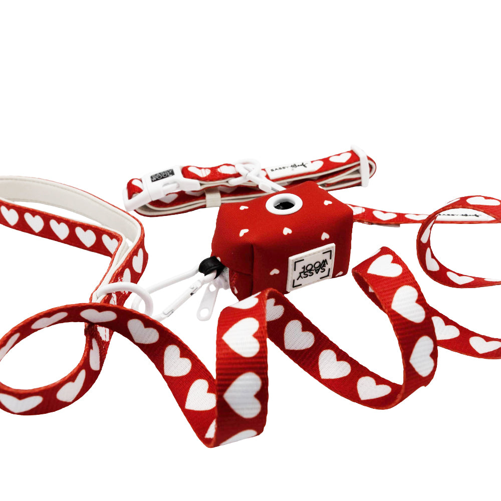 Red and white heart-patterned dog leash with a matching red collar on a white background
