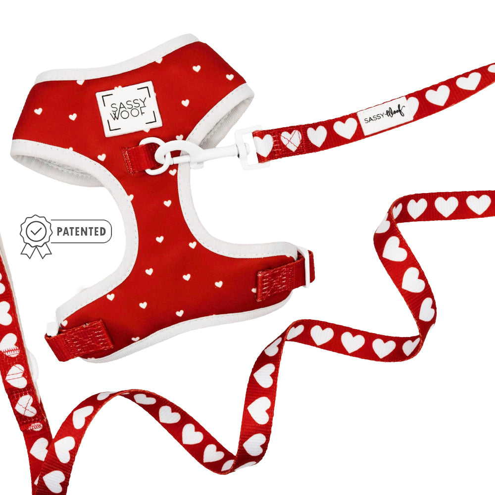 Red dog harness and leash set with white heart pattern on a white background