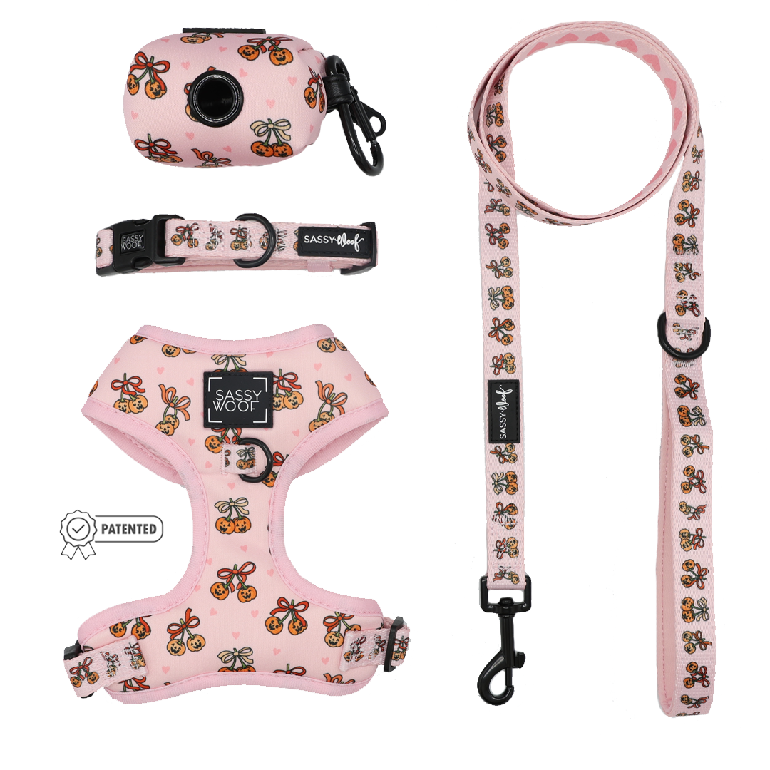 The Sassy Woof Dog Four Piece Bundle - Sassy Lil Pumpkins features a light pink harness set adorned with charming flower and bee designs. This bundle includes an adjustable dog harness, a cute collar, leash, and a waste bag holder—all showcasing matching patterns and accented with black hardware. A small patented badge is also visible on the products.