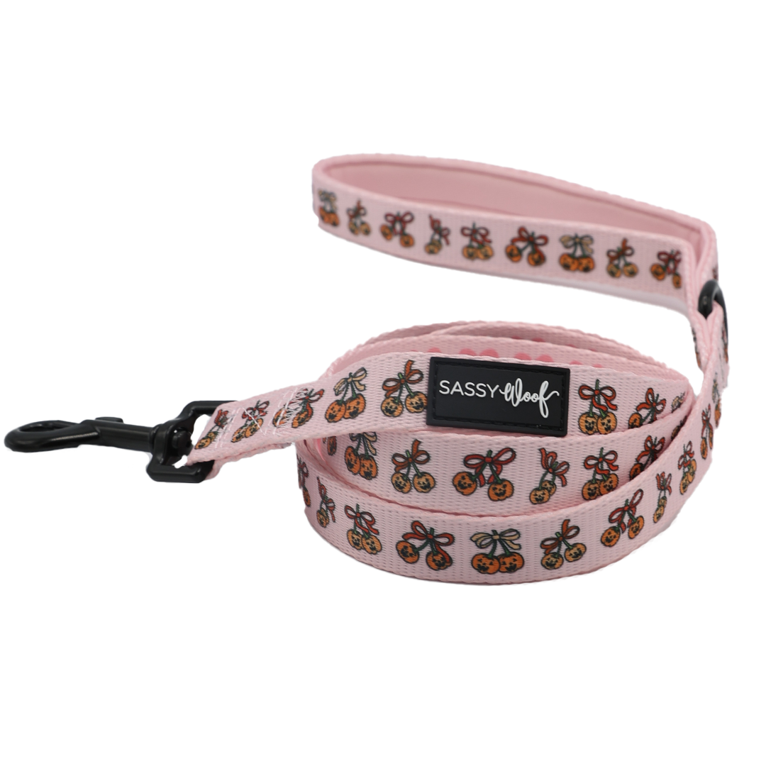 The Sassy Woof Dog Leash - Sassy Lil Pumpkins features a pink design with a pattern of cartoon butterflies, a black clasp, a signature Sassy Woof label, and a soft neoprene handle for extra comfort.