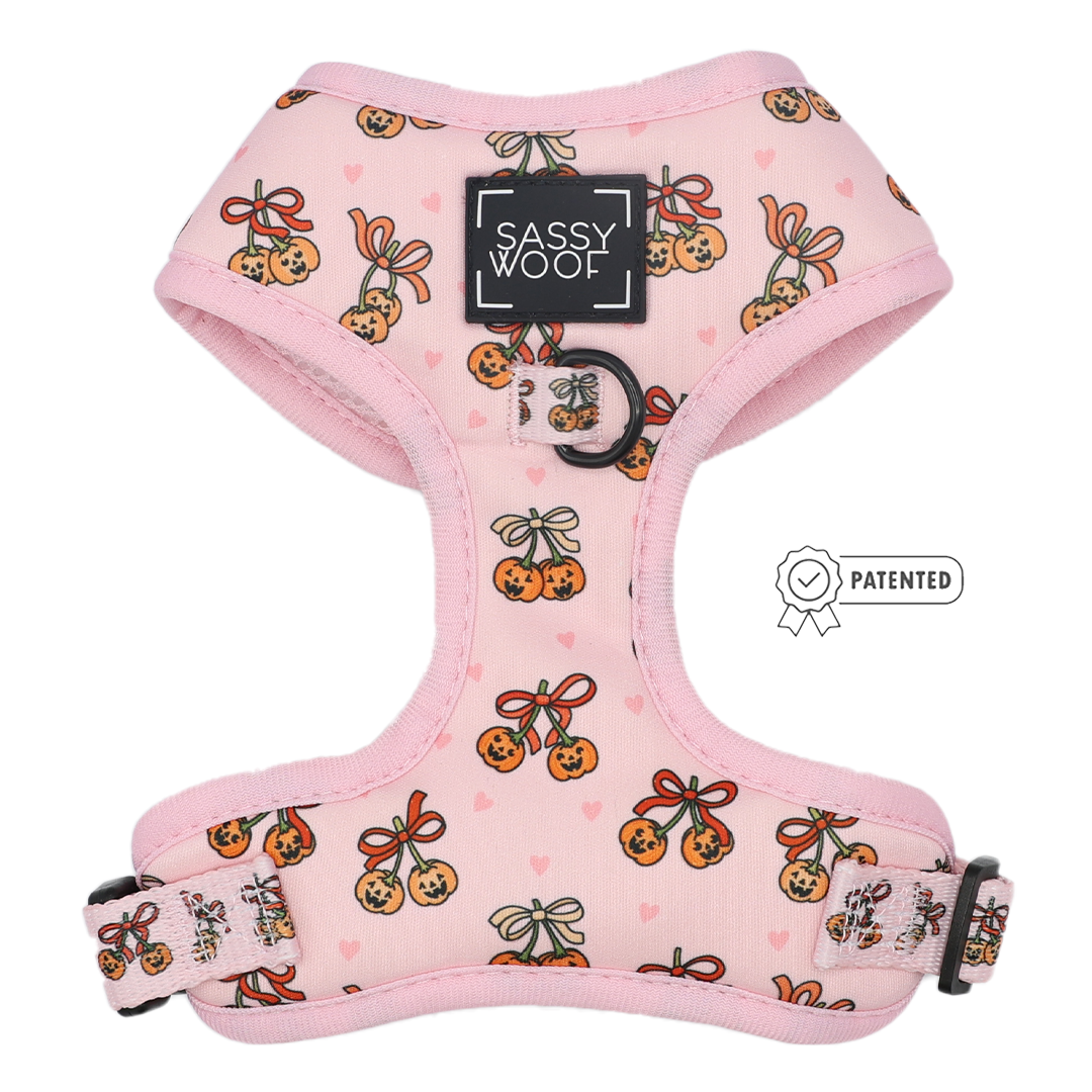 Part of the Sassy Woof Sassy Lil Pumpkins Dog Four Piece Bundle, this pink adjustable dog harness showcases a charming cherry and heart pattern, black plastic clasps, a sturdy metal D-ring, the signature Sassy Woof label on the front, and a patented badge located to the right of the harness.