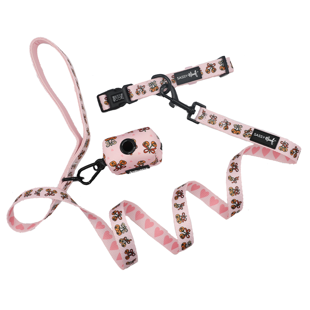 The Sassy Woof Dog Three Piece Bundle - Sassy Lil Pumpkins includes a pink dog leash and harness set adorned with butterflies and hearts, plus a matching waste bag holder attached to the leash. This stylish bundle features black hardware and is shown alongside a coordinating dog collar, all set against a white background.