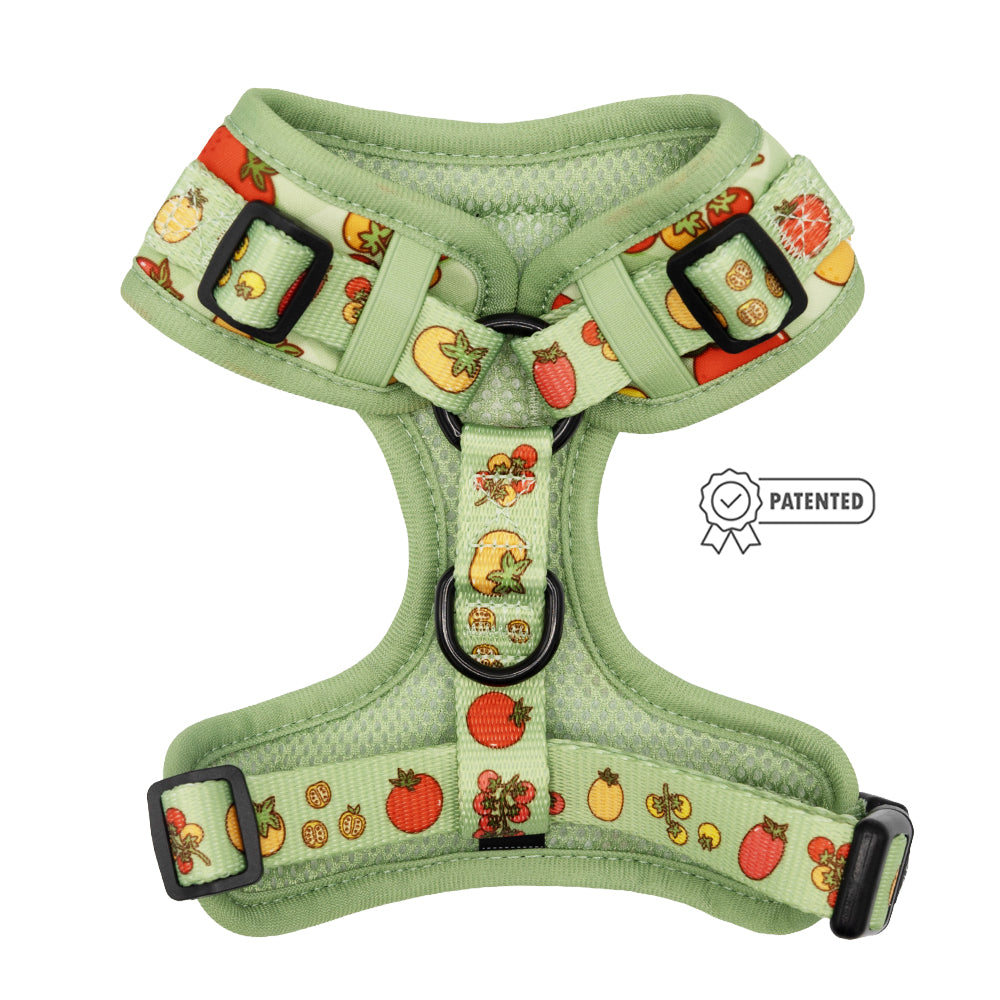 The Sassy Woof Dog Adjustable Harness - Feeling Vine features plant-inspired, colorful fruit prints with black buckles, D-rings, a Patented badge, and supports the Puppy Growth Pawtection Plan.