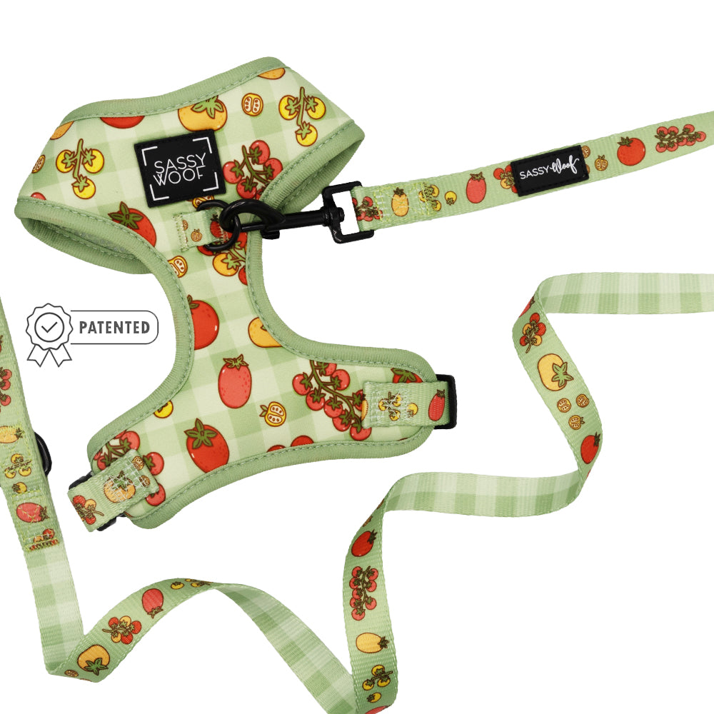 The Sassy Woof Dog Two Piece Bundle - Feeling Vine features a green checkered harness and adjustable leash with tomato and strawberry designs, a Sassy Woof label, and patented badge—perfect for pups on the Puppy Growth Pawtection Plan.