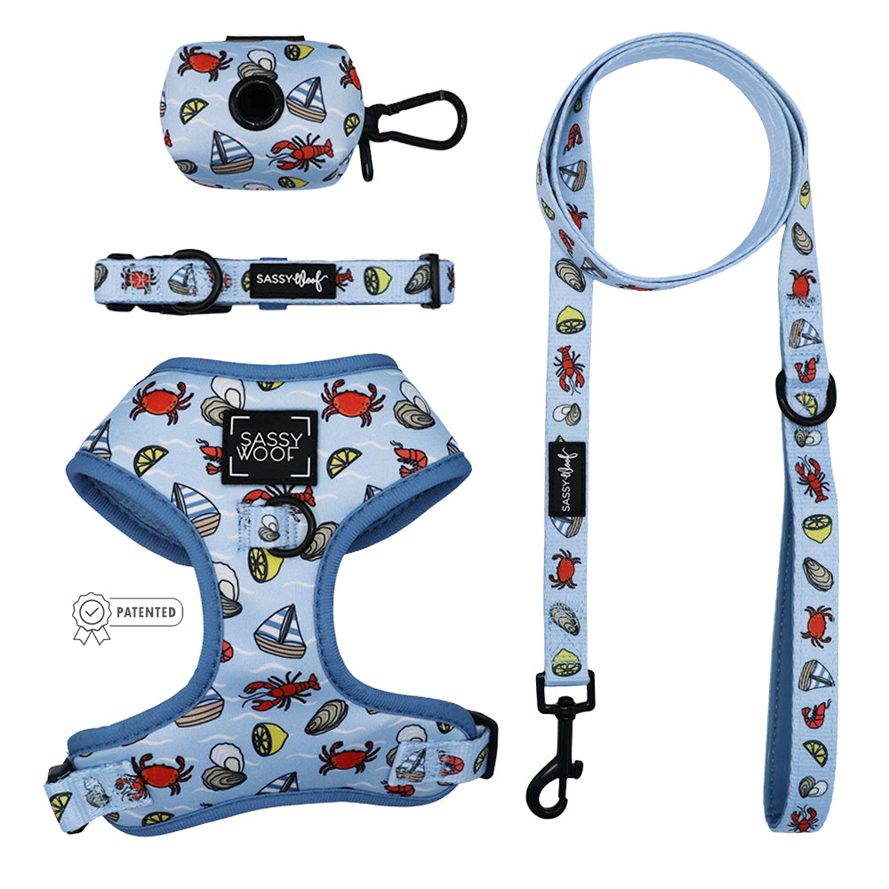 The Sassy Woof Dog Four Piece Bundle - Coastal Cuties includes a light blue adjustable harness, collar, leash, and waste bag holder with a nautical crab, sailboat, and seashell pattern.