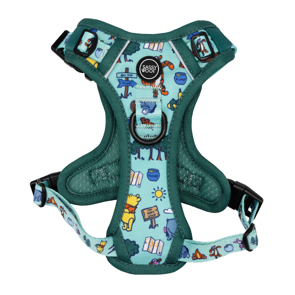 The Sassy Woof Dog Step-in Harness features Disney’s Winnie the Pooh designs, with cartoon Pooh characters, honey pots, and forest elements on a teal background. A round black Sassy Woof tag is visible near the top.