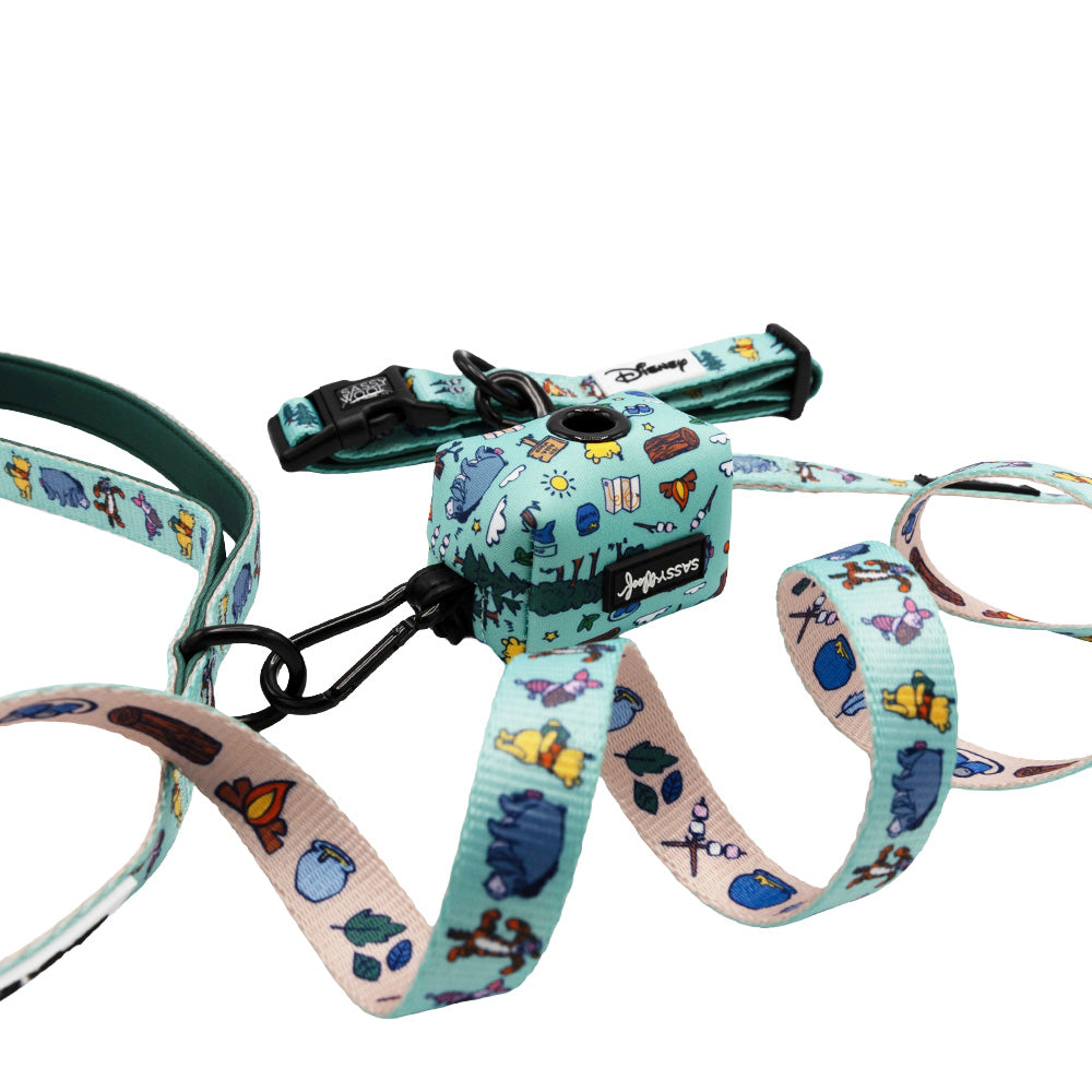 Collar Three Piece Bundle - Disney's Winnie the Pooh