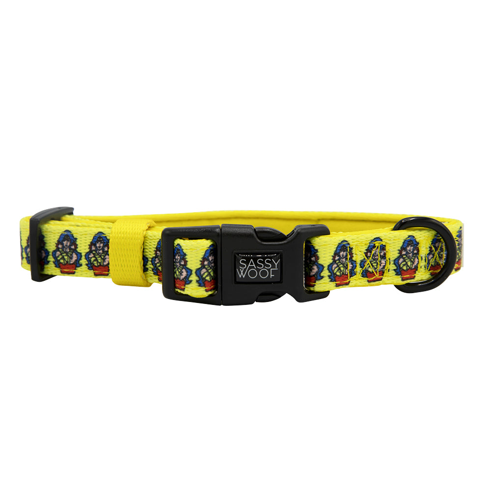 Dog Collar - Wonder Woman™