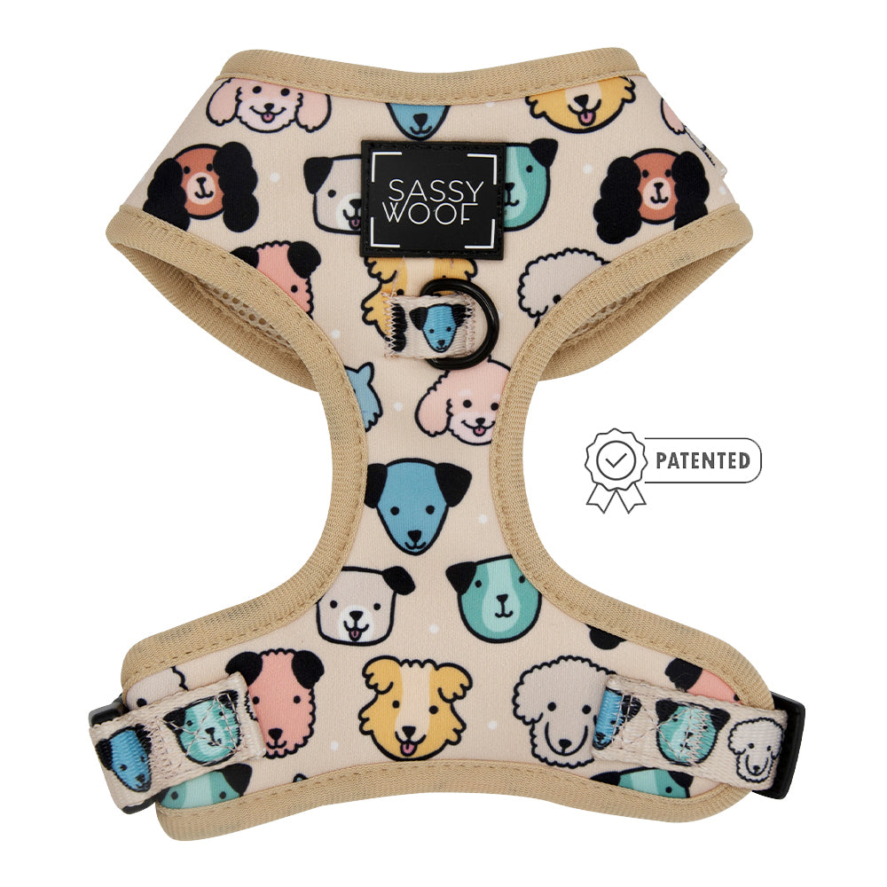 Dog Bundle - Mixed With Love