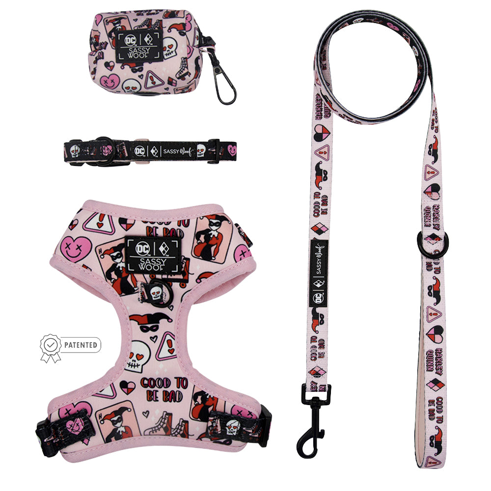 Dog Four Piece Bundle - Harley Quinn™