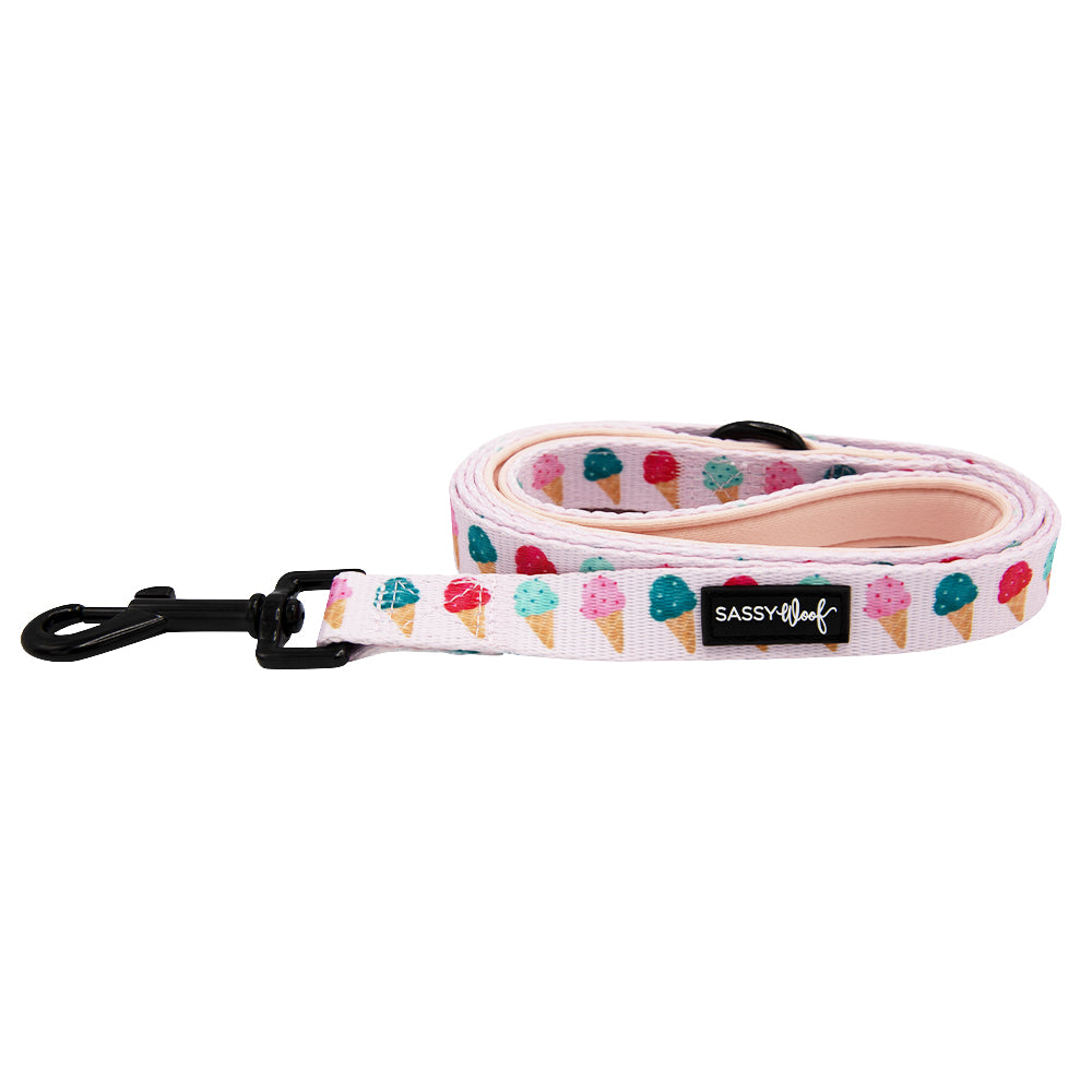 Dog Leash - A Sprinkle of Sass