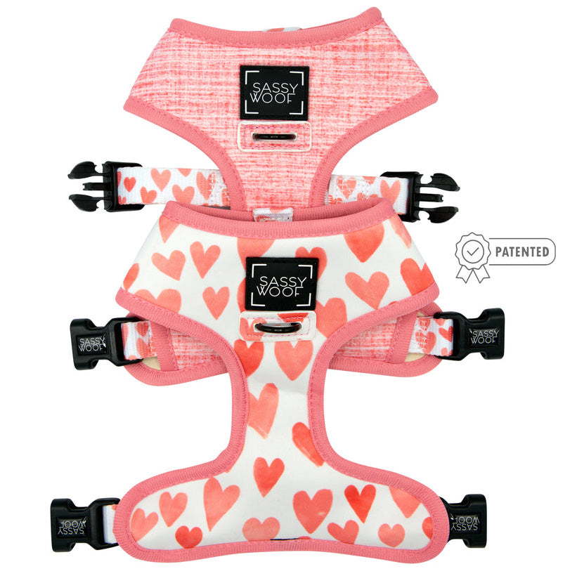 Dog Four Piece Bundle - Dolce Rose