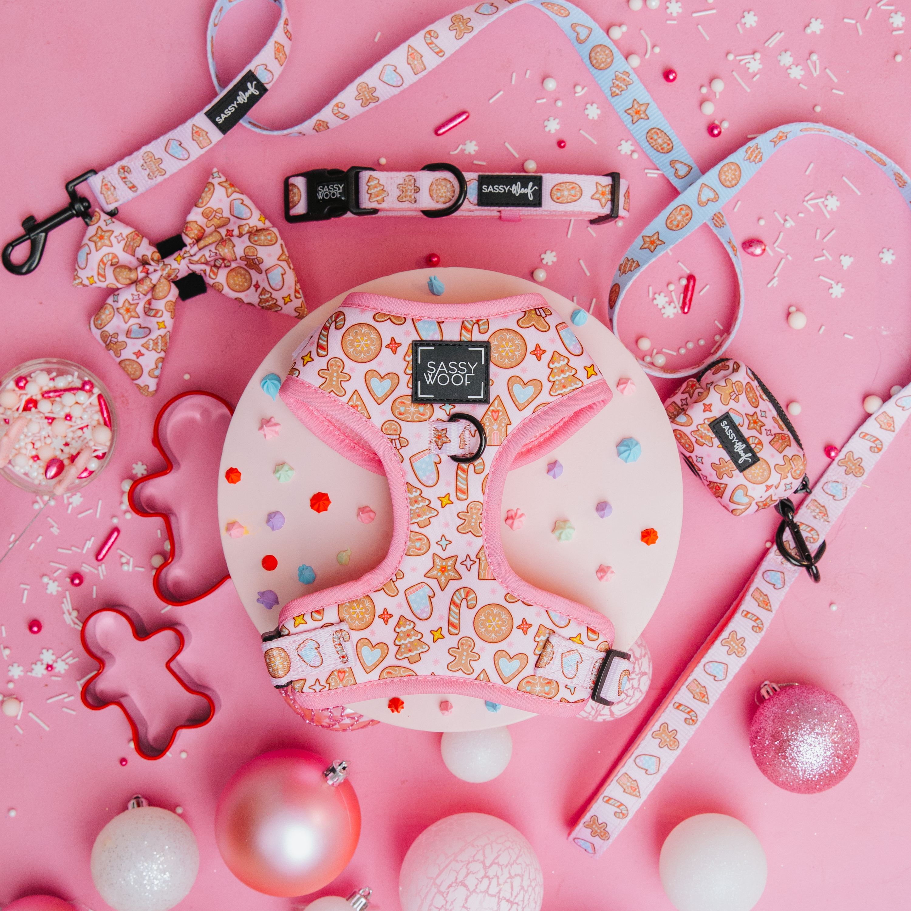 Dog accessories including a pink collar, leash, and head collar on a pink background with decorative elements.