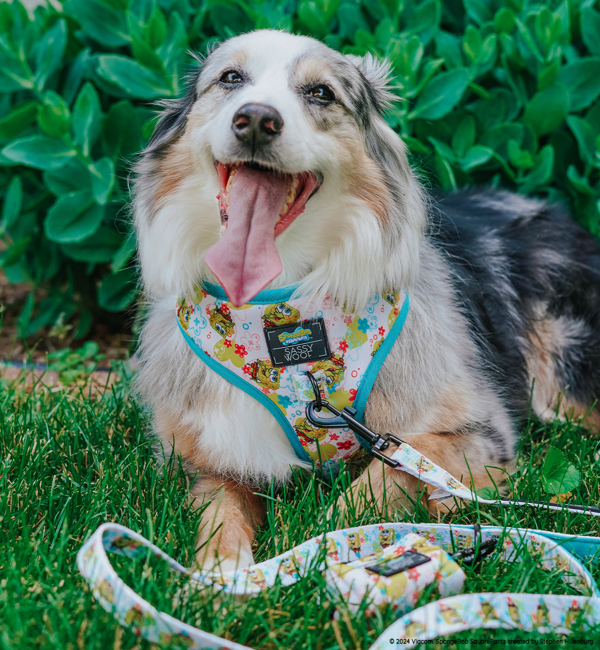 INFLUENCER_CONTENT | @EUREKAPAWS