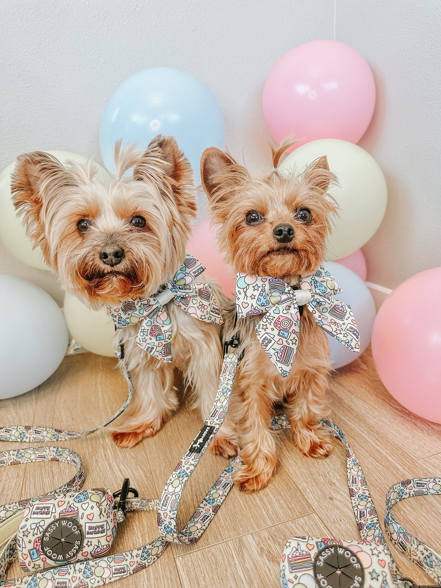 INFLUENCER_CONTENT | @EEVEE.THE.YORKIE