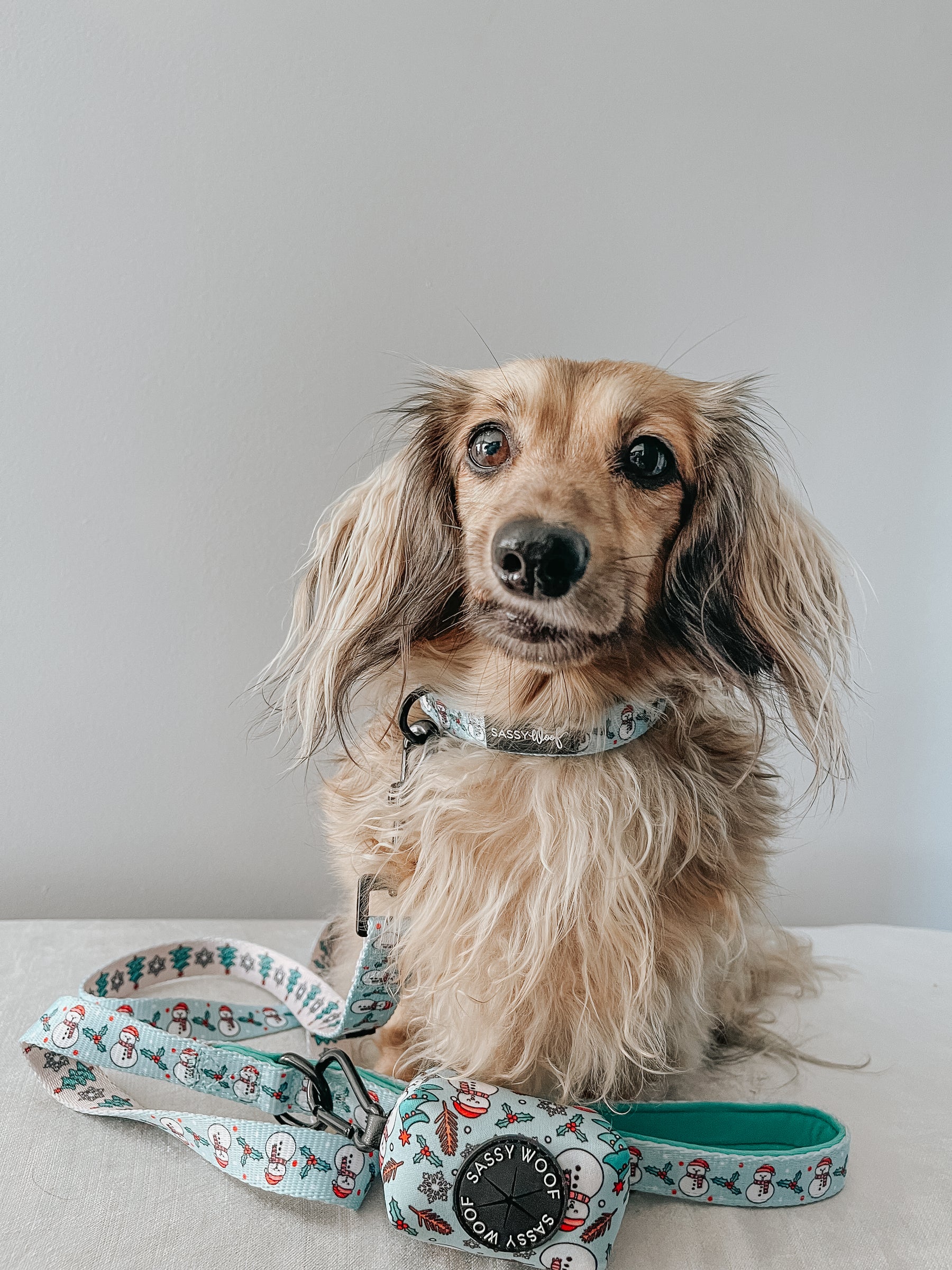 INFLUENCER_CONTENT | @FINNEGANTHEDOXIE | SIZE S