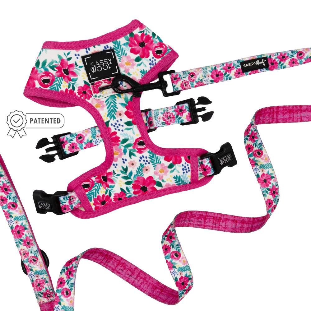 Dog Two Piece Bundle Floral Frenzy Sassy Woof Product