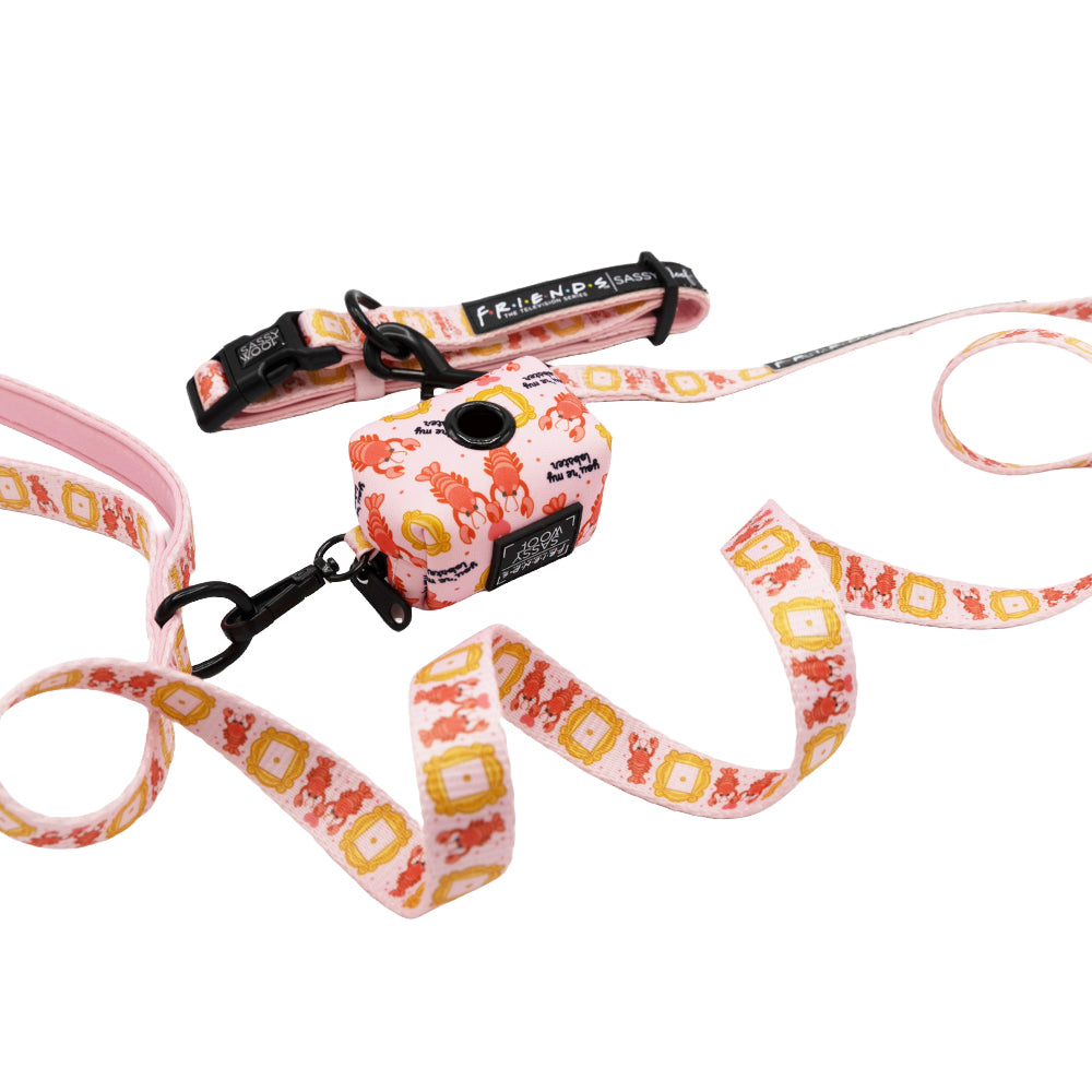 Collar Three Piece Bundle - Friends™ (Lobster)