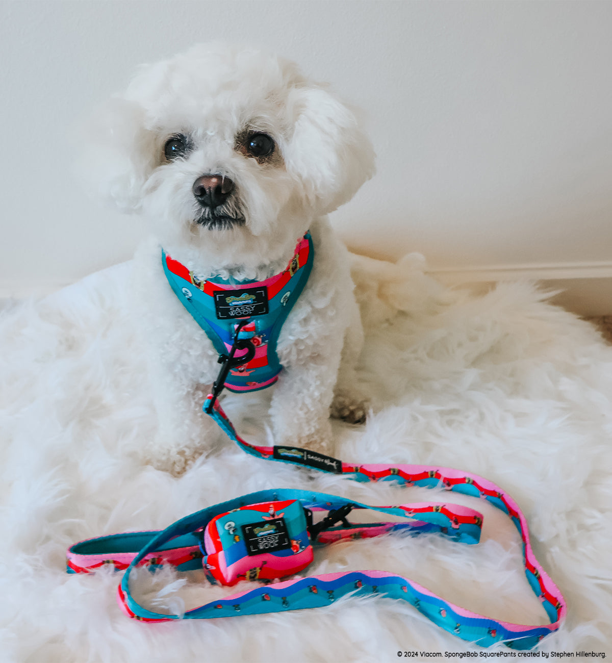 INFLUENCER_CONTENT | @FRISE.AND.FABULOUS