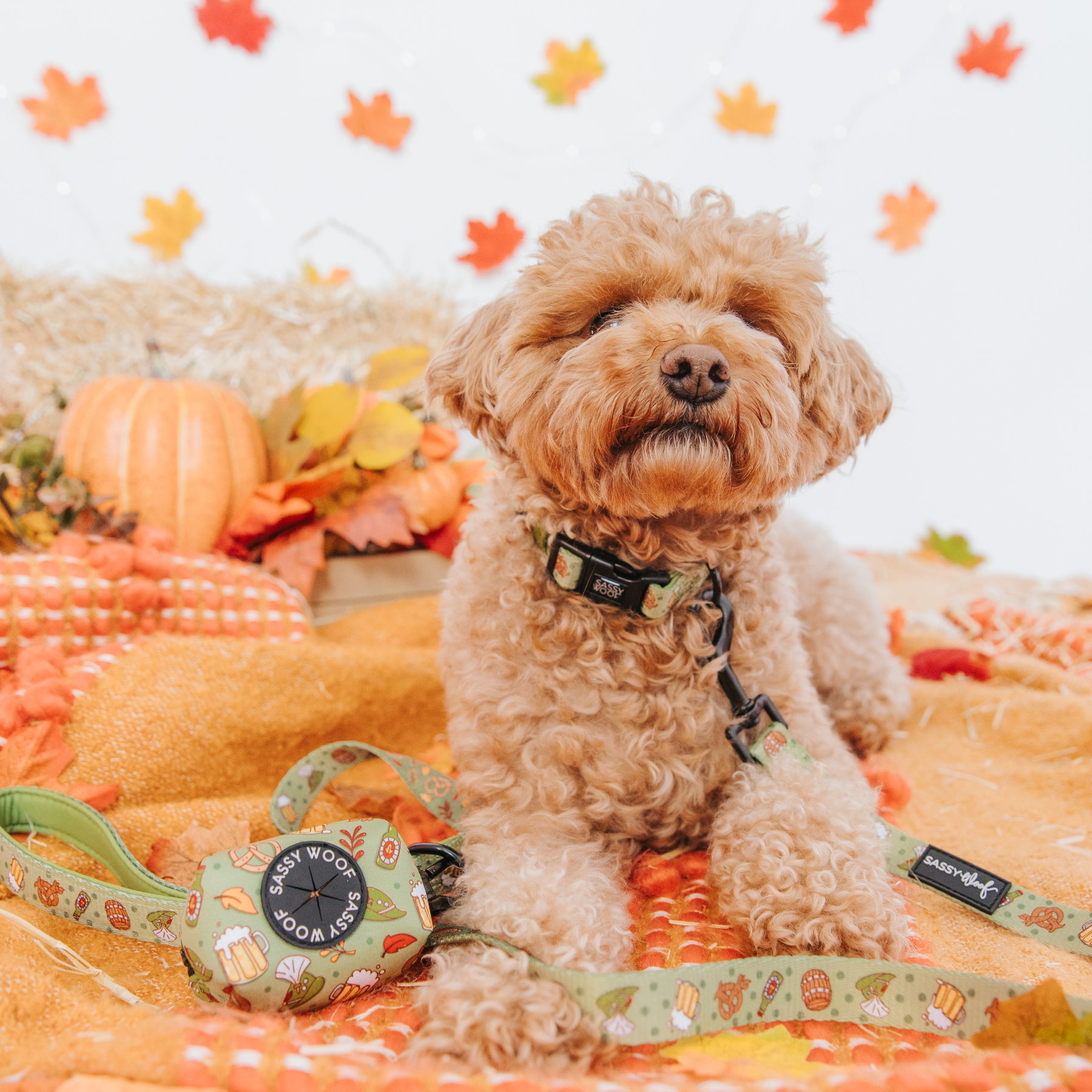 Dog Collar - Wurst Behavior