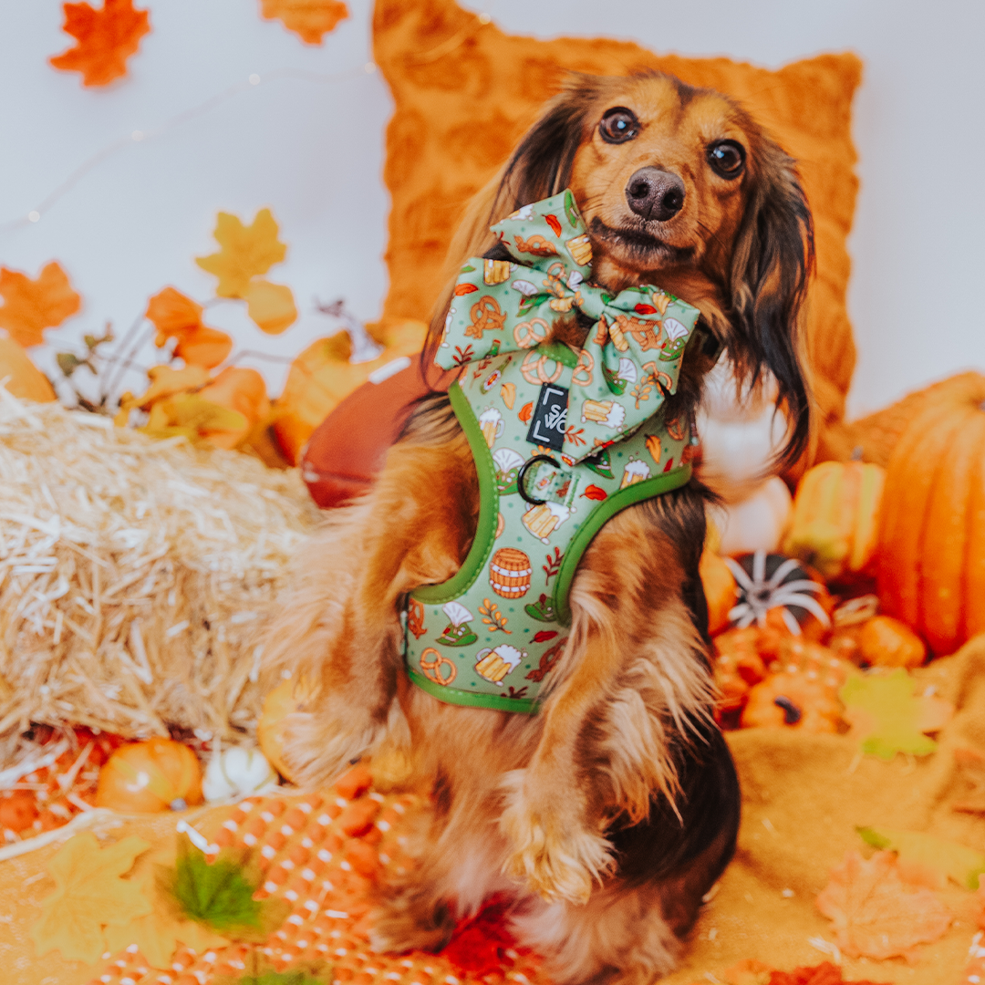 Dog Two Piece Bundle - Wurst Behavior