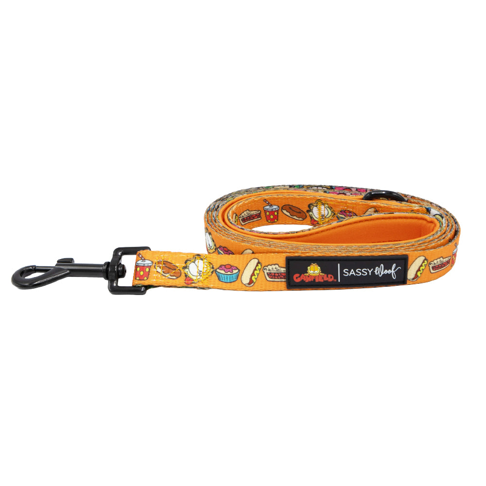 Dog Leash - Garfield™