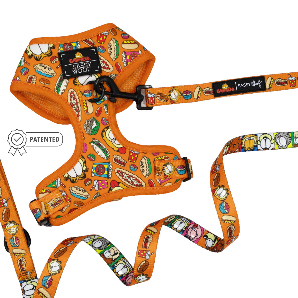 Dog Two Piece Bundle - Garfield™
