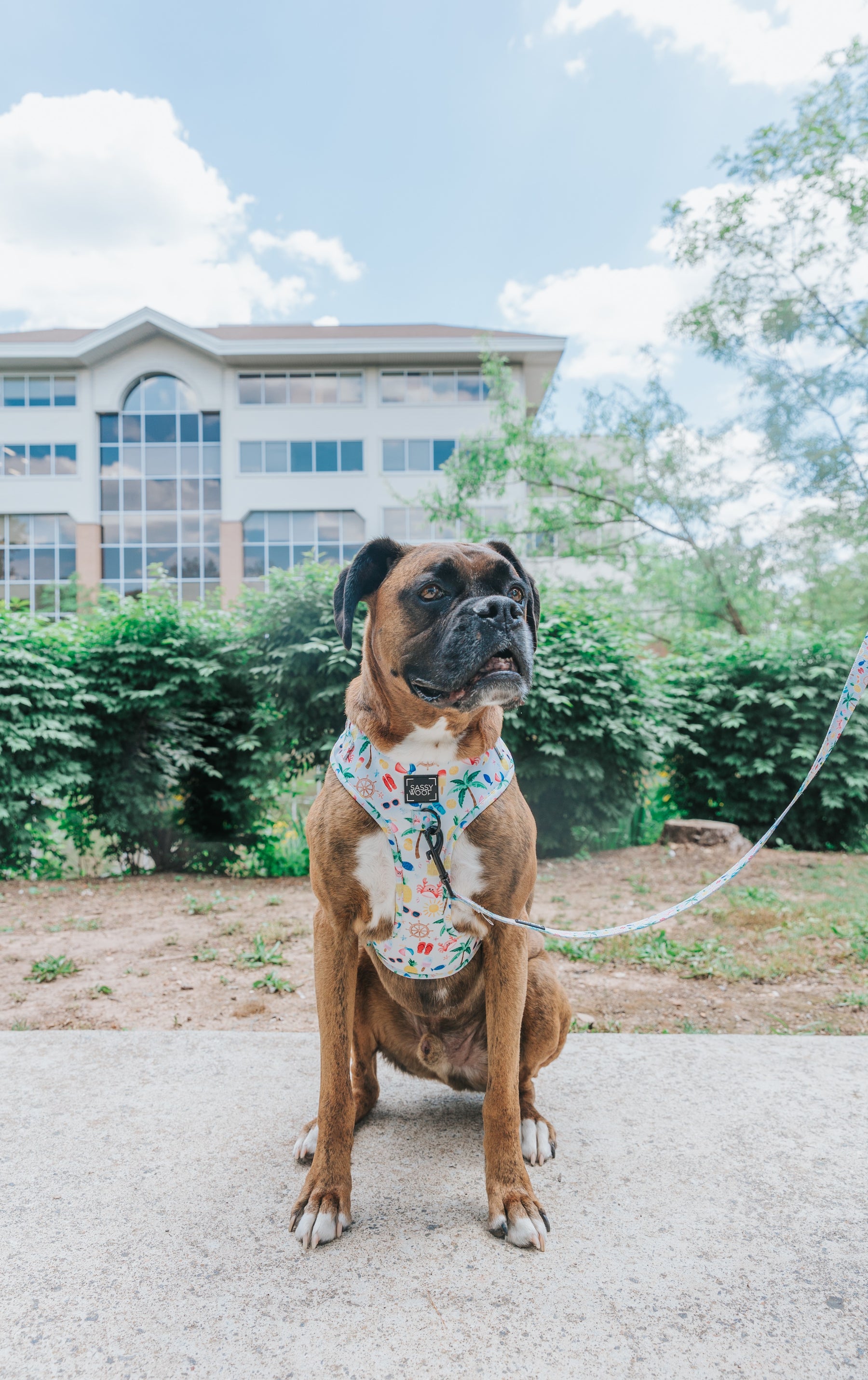INFLUENCER_CONTENT | @THORTHEBOXER2012 | SIZE L