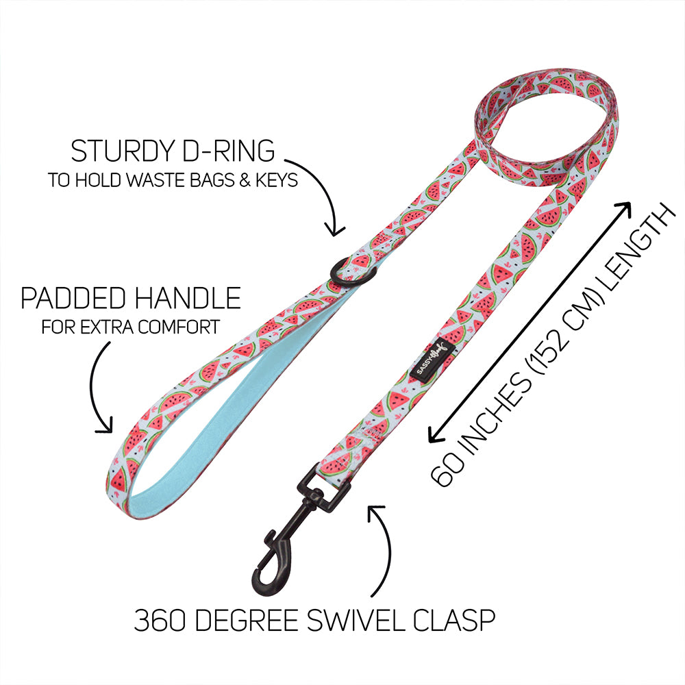 Dog Two Piece Bundle - Oh My Melons