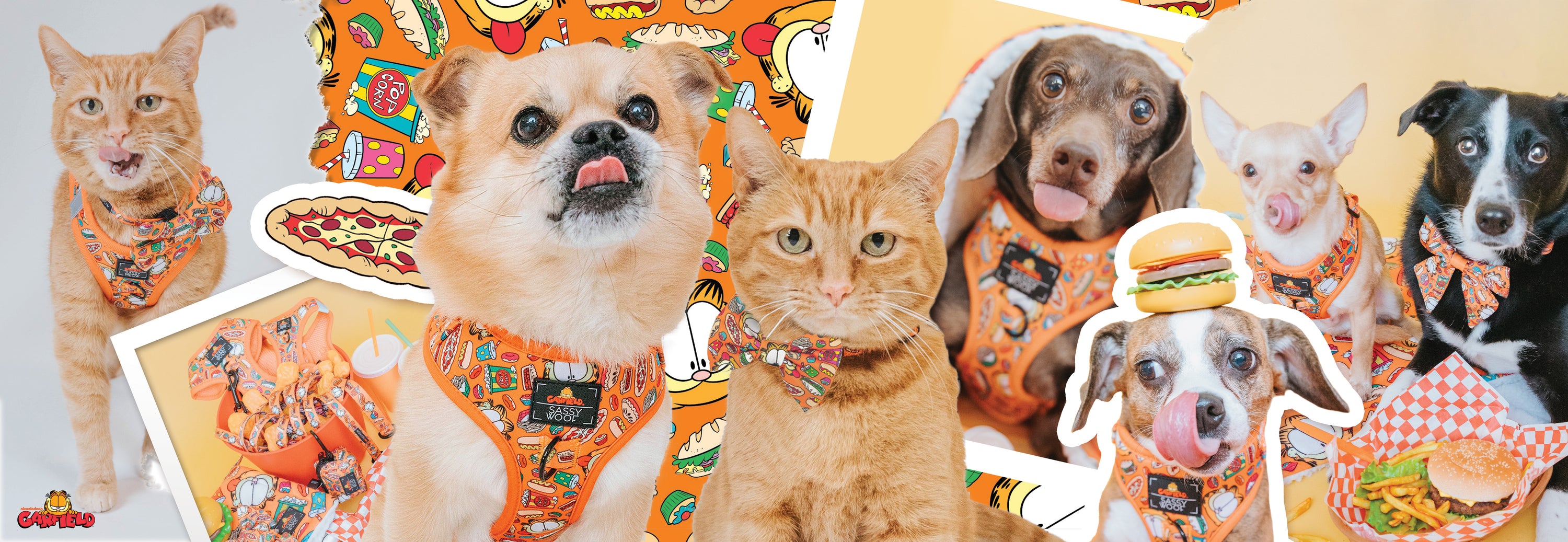 A collage of dogs and a cat wearing orange harnesses with food patterns, surrounded by playful illustrations of pizza, burgers, and fries on a colorful, cartoon-themed background.