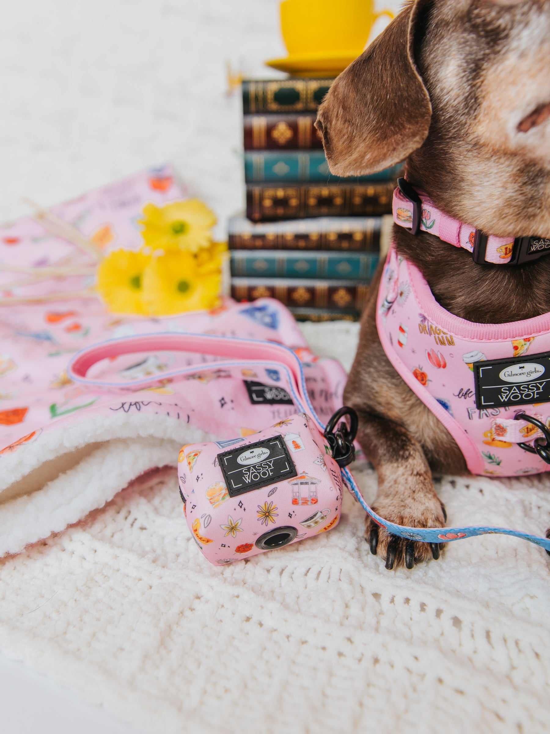 INFLUENCER_CONTENT | @WINSTONTHEDOX | SIZE S