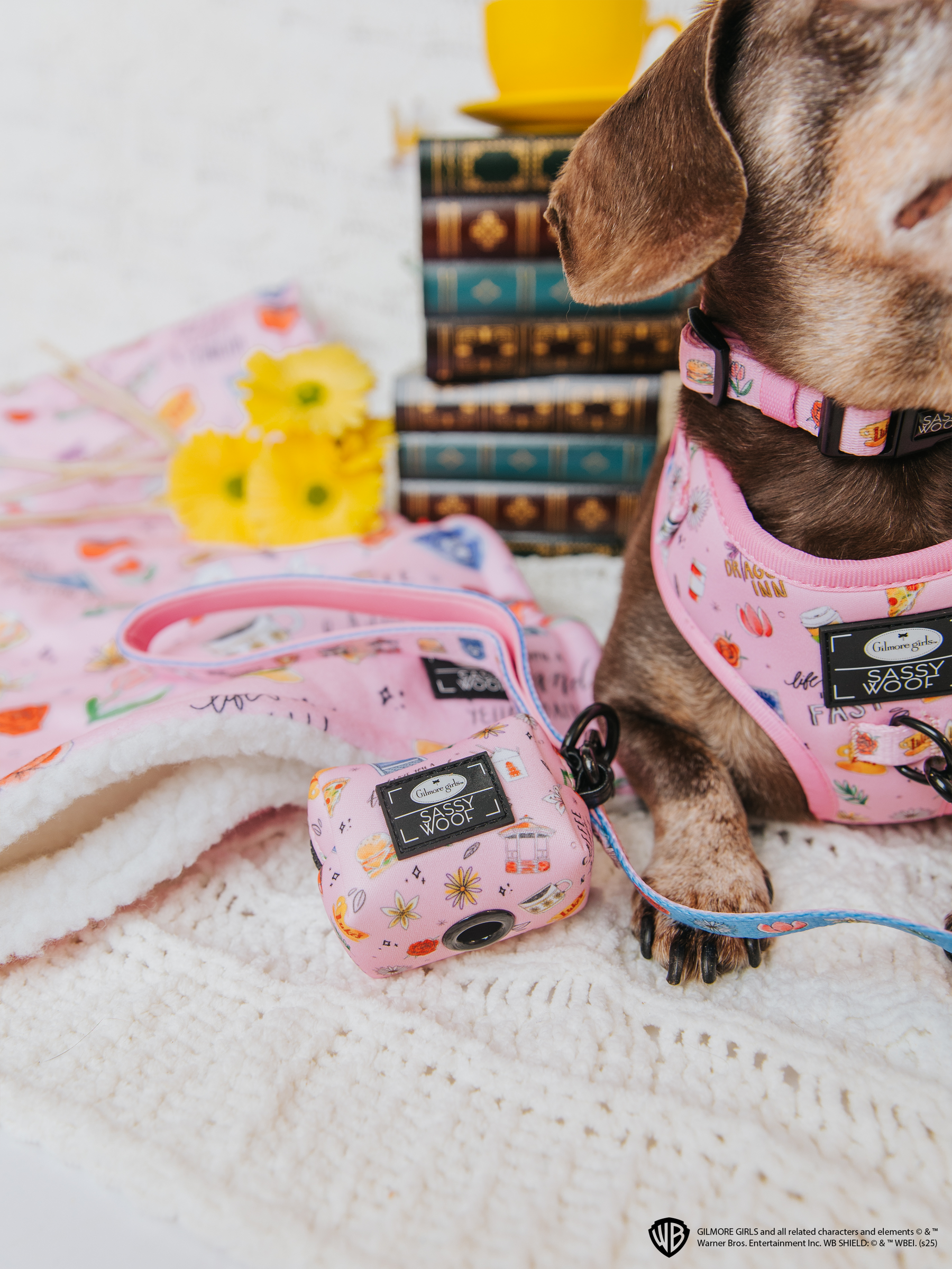 INFLUENCER_CONTENT | @WINSTONTHEDOX |