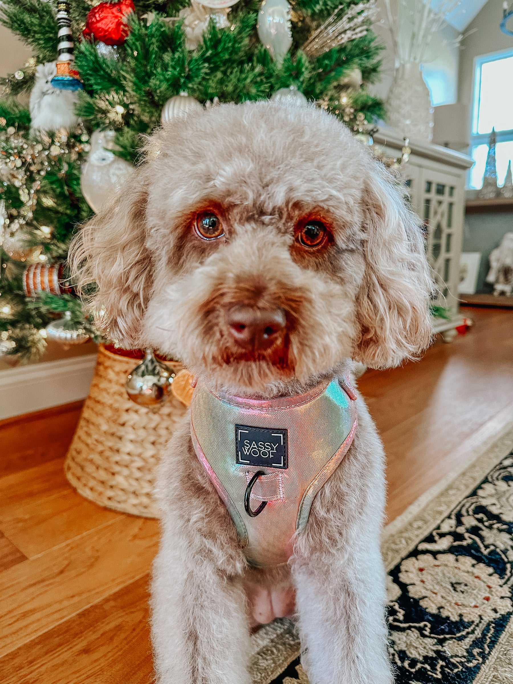 INFLUENCER_CONTENT | @HARPERTHECHOCOLATEDOODLE | SIZE S