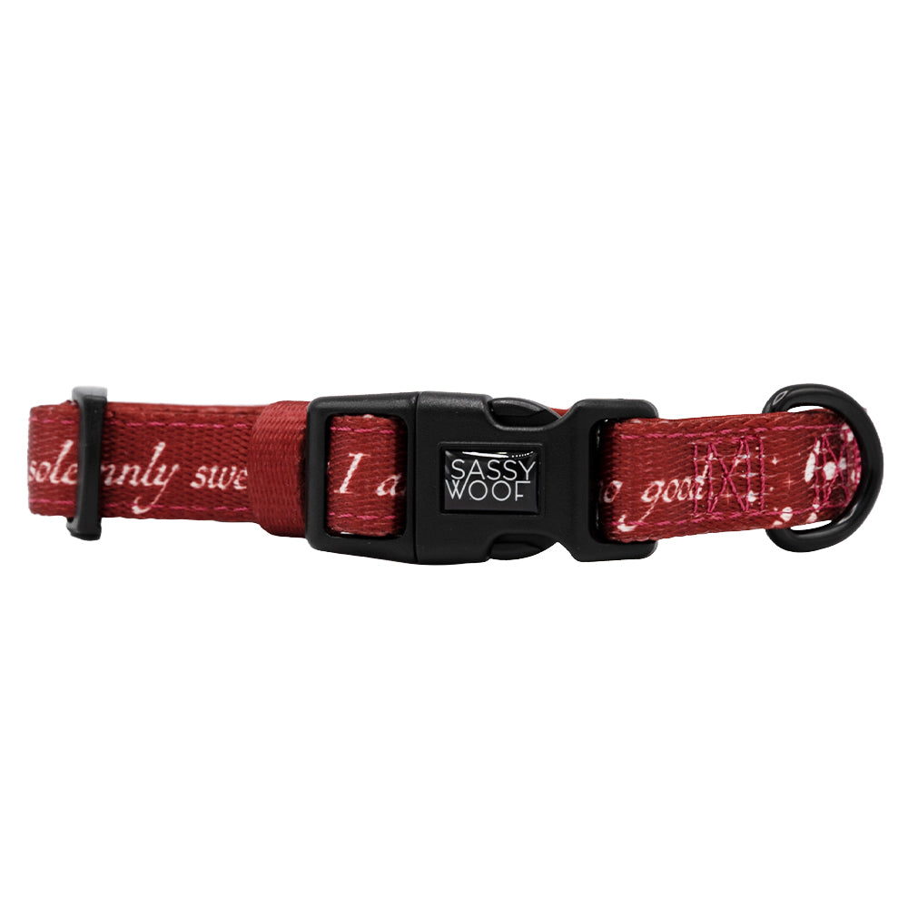 The Sassy Woof Dog Collar - Harry Potter™ Marauder's Map™ is red with white script, features a black plastic Sassy Woof buckle, and includes a black metal D-ring for leash attachment.